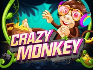 Crazy Monkey game cover